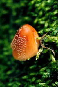 大きく前進する前には