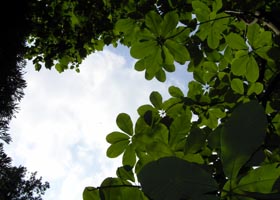 ボンヘッファーの祈り