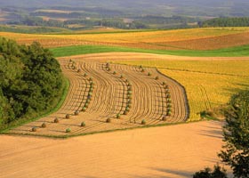 もうちょっとだけ大きな土地を