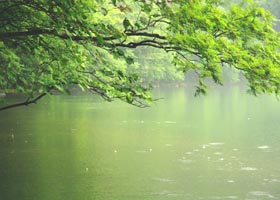 落ち着きのある人生のために