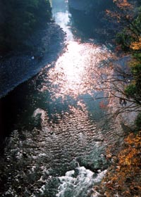 あげることの中には癒しが