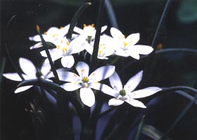 巨万の富よりも貴重なもの